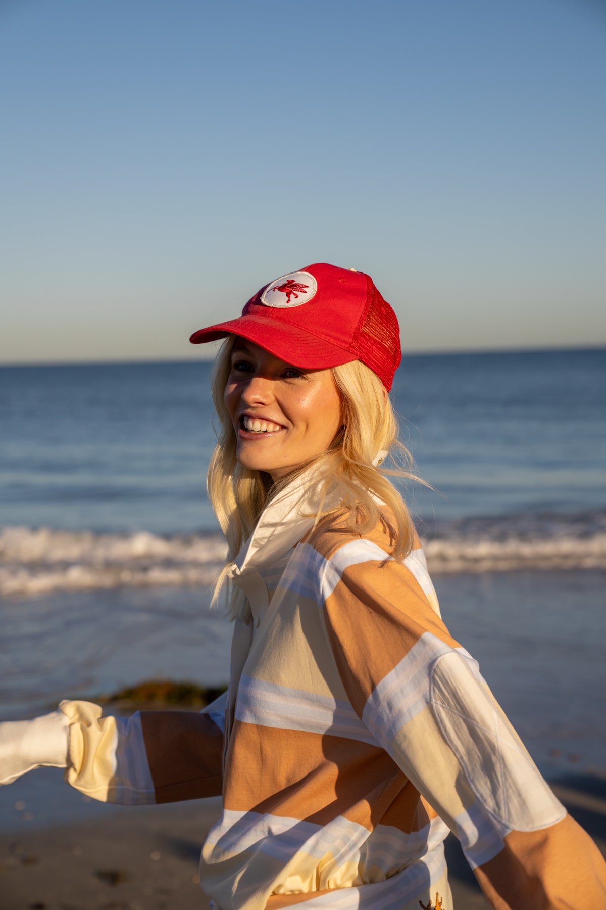 THE LITTLE BROWN DOG.