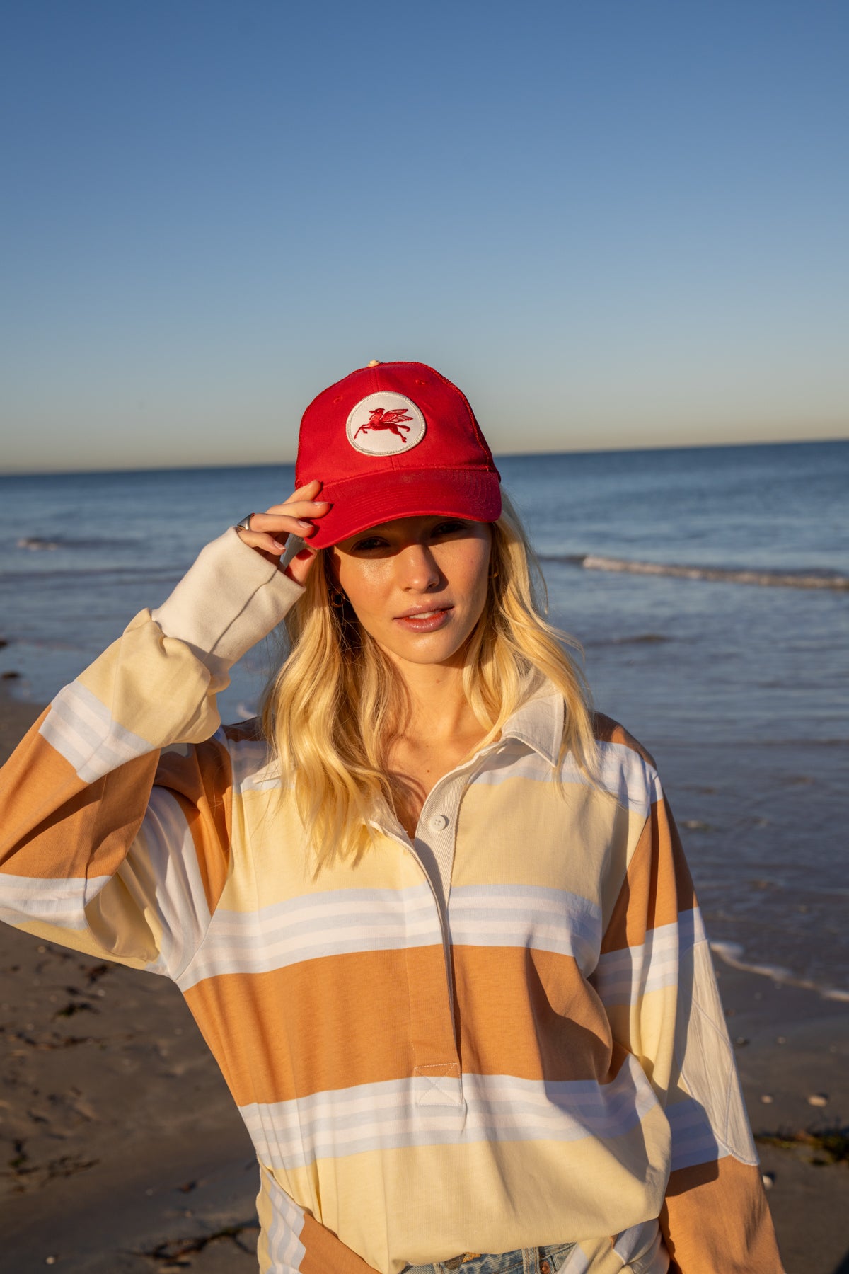 THE LITTLE BROWN DOG.