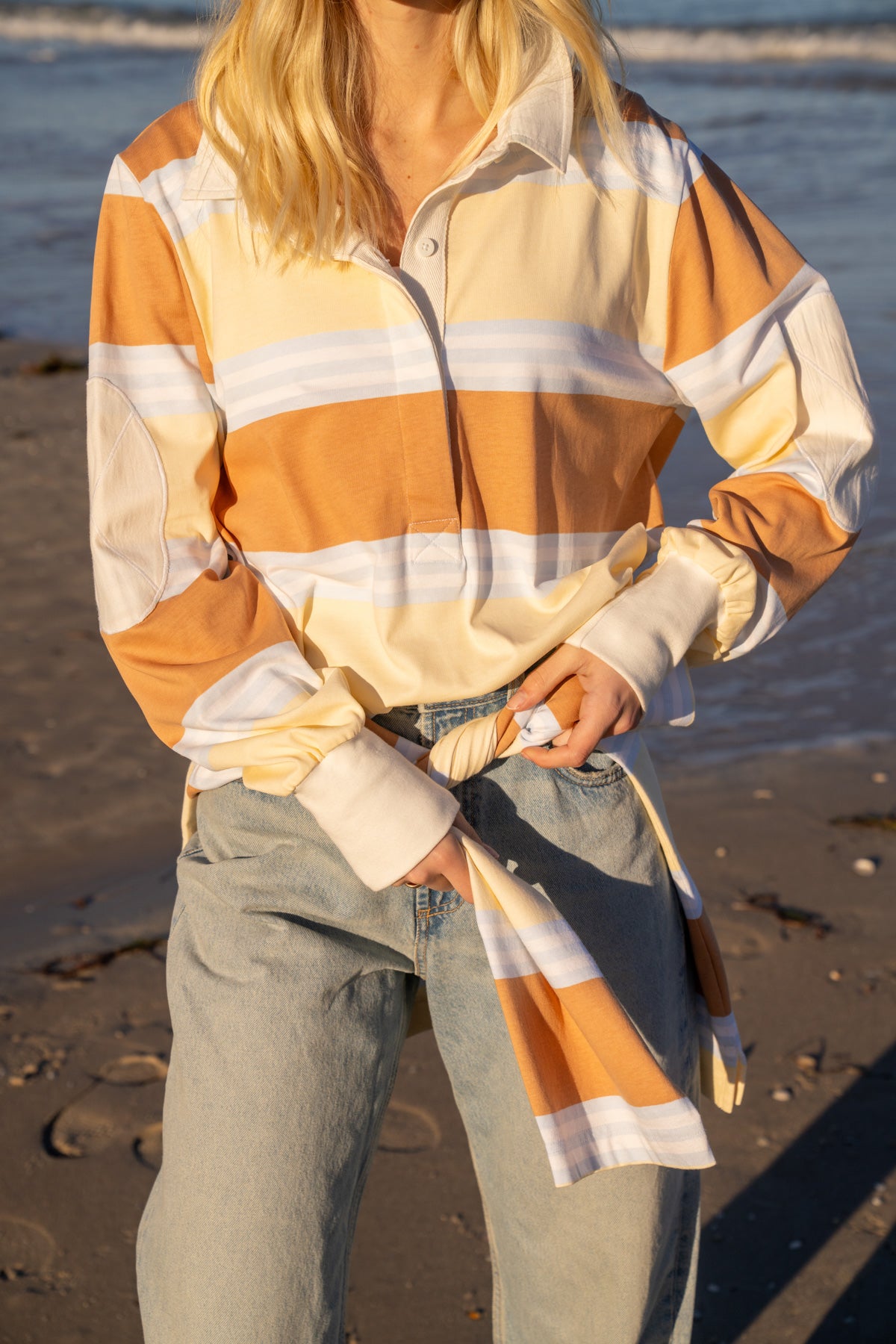 THE LITTLE BROWN DOG.