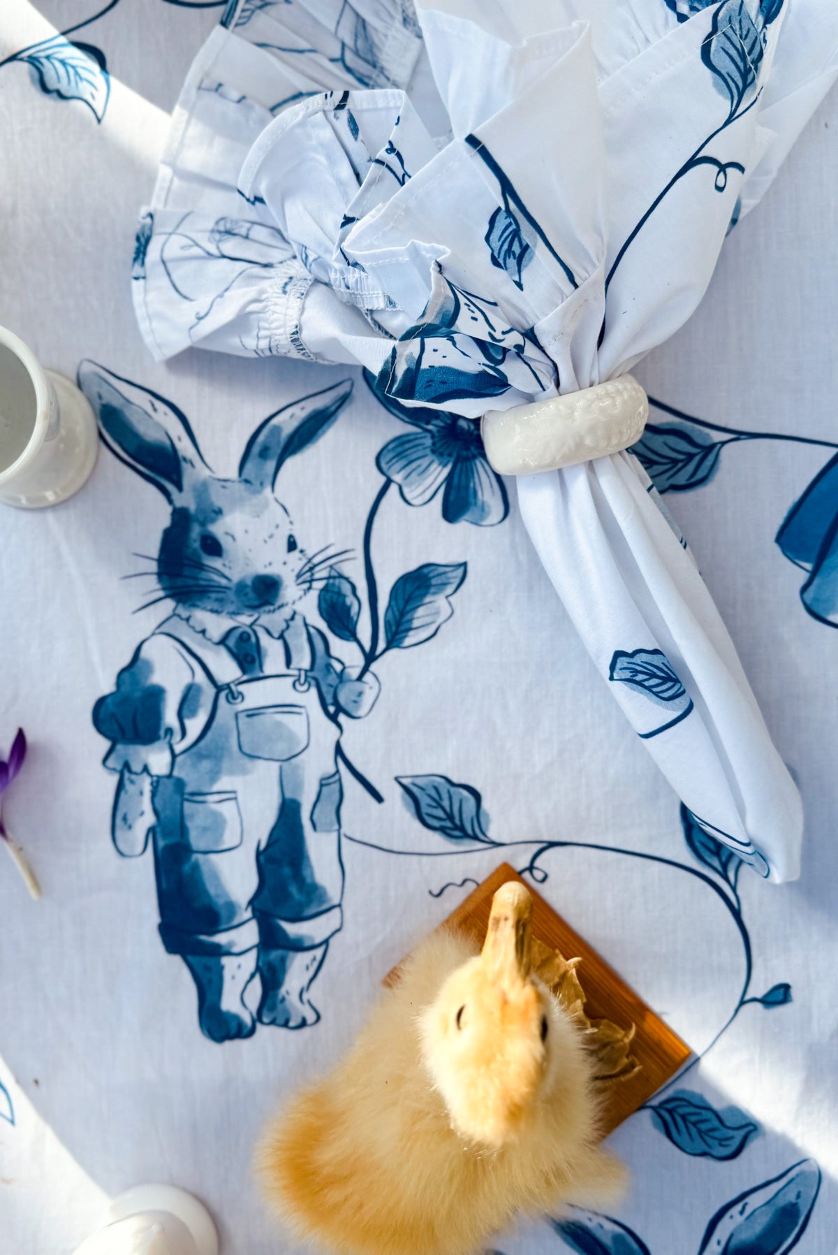 SQUIRREL NUTKIN. Napkins.