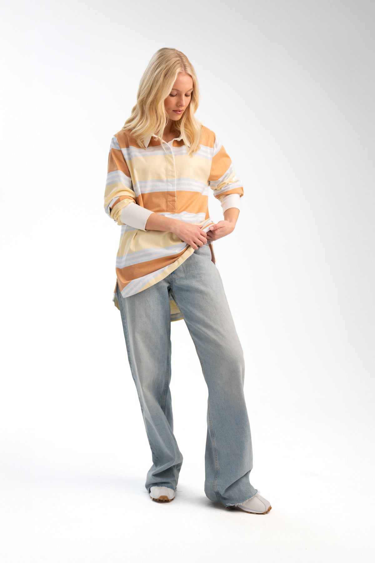 THE LITTLE BROWN DOG.