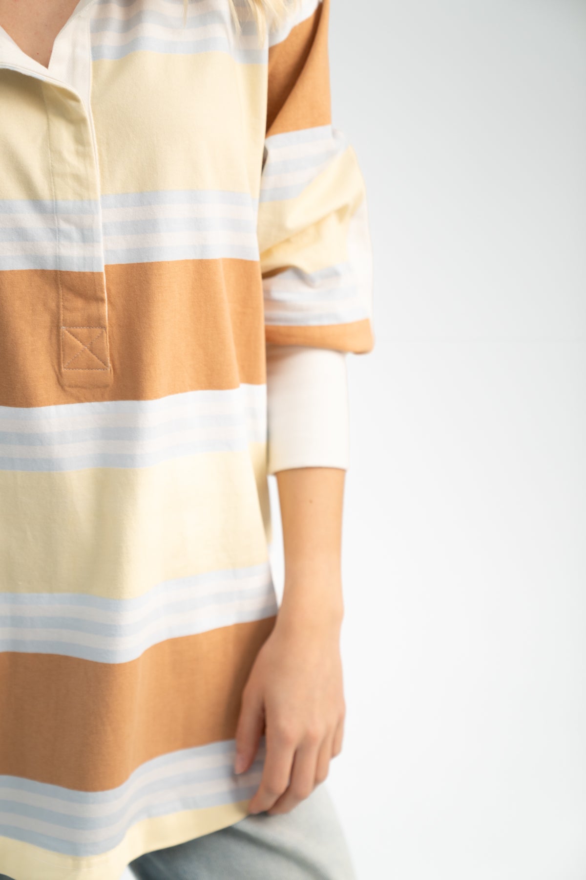 THE LITTLE BROWN DOG.