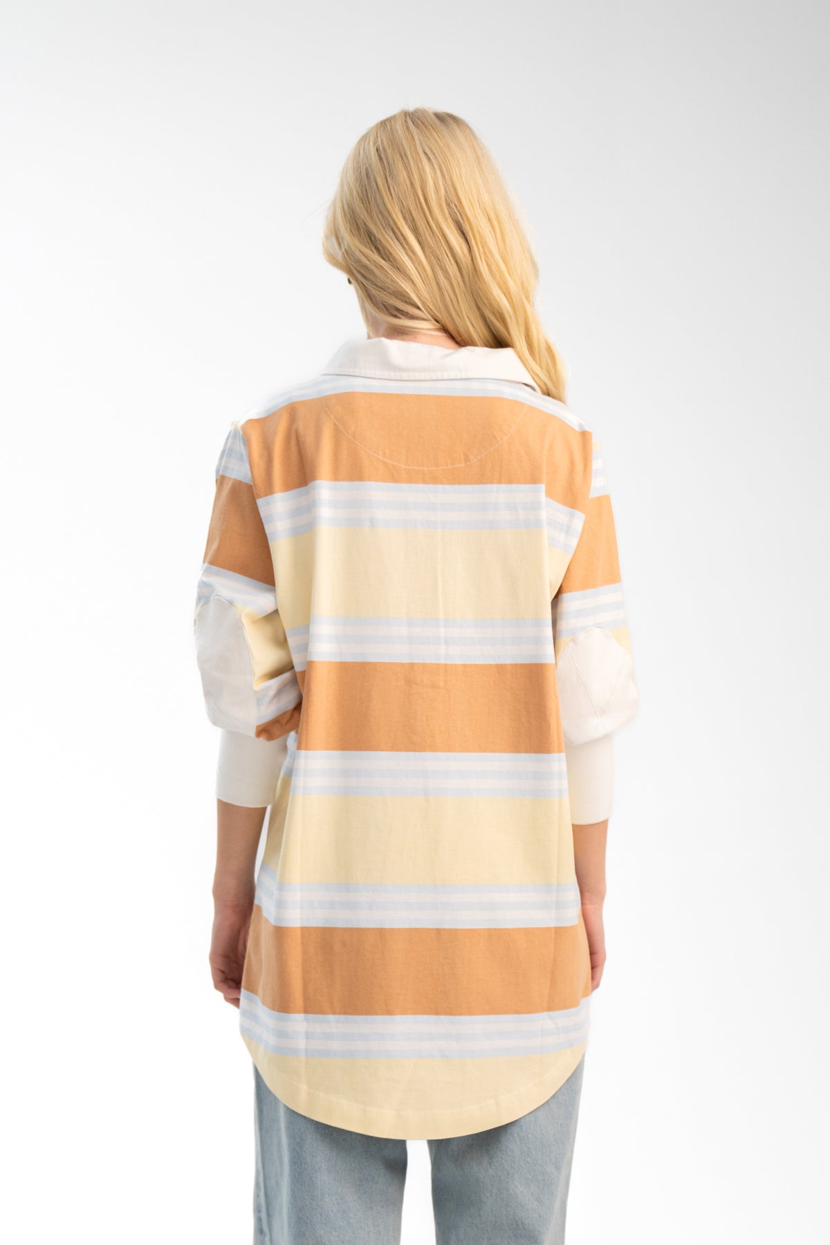 THE LITTLE BROWN DOG.