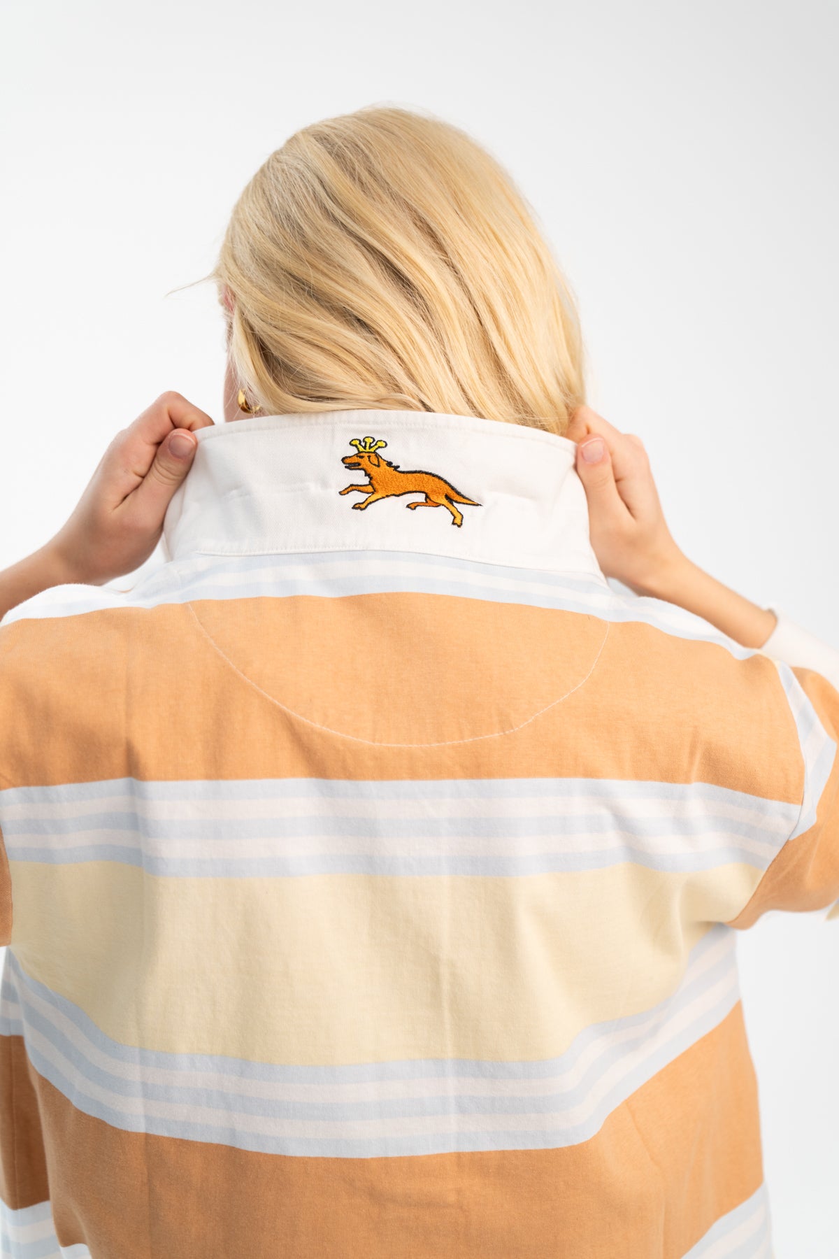 THE LITTLE BROWN DOG.