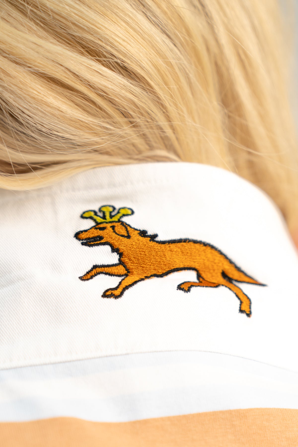 THE LITTLE BROWN DOG.