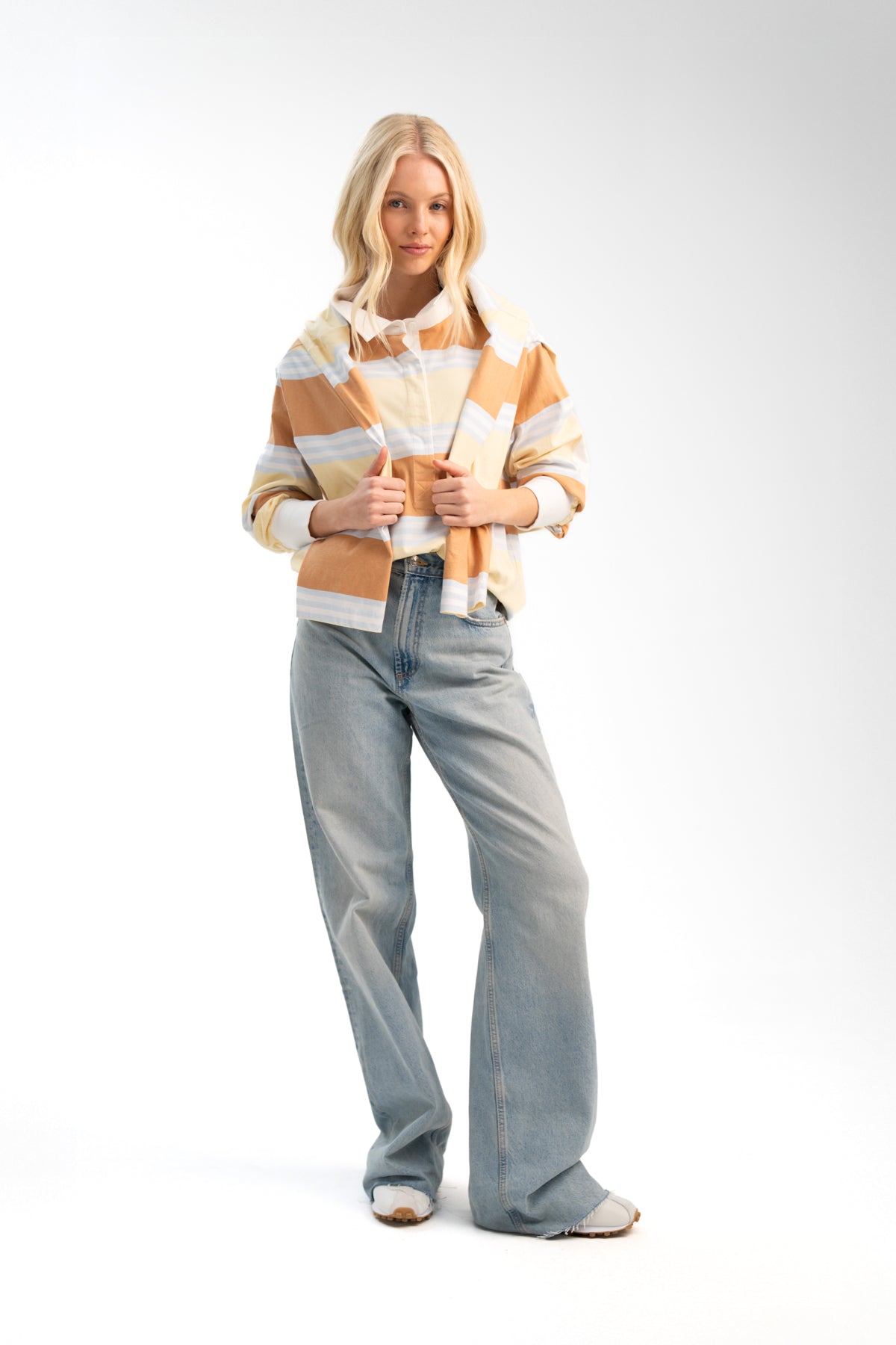 THE LITTLE BROWN DOG.