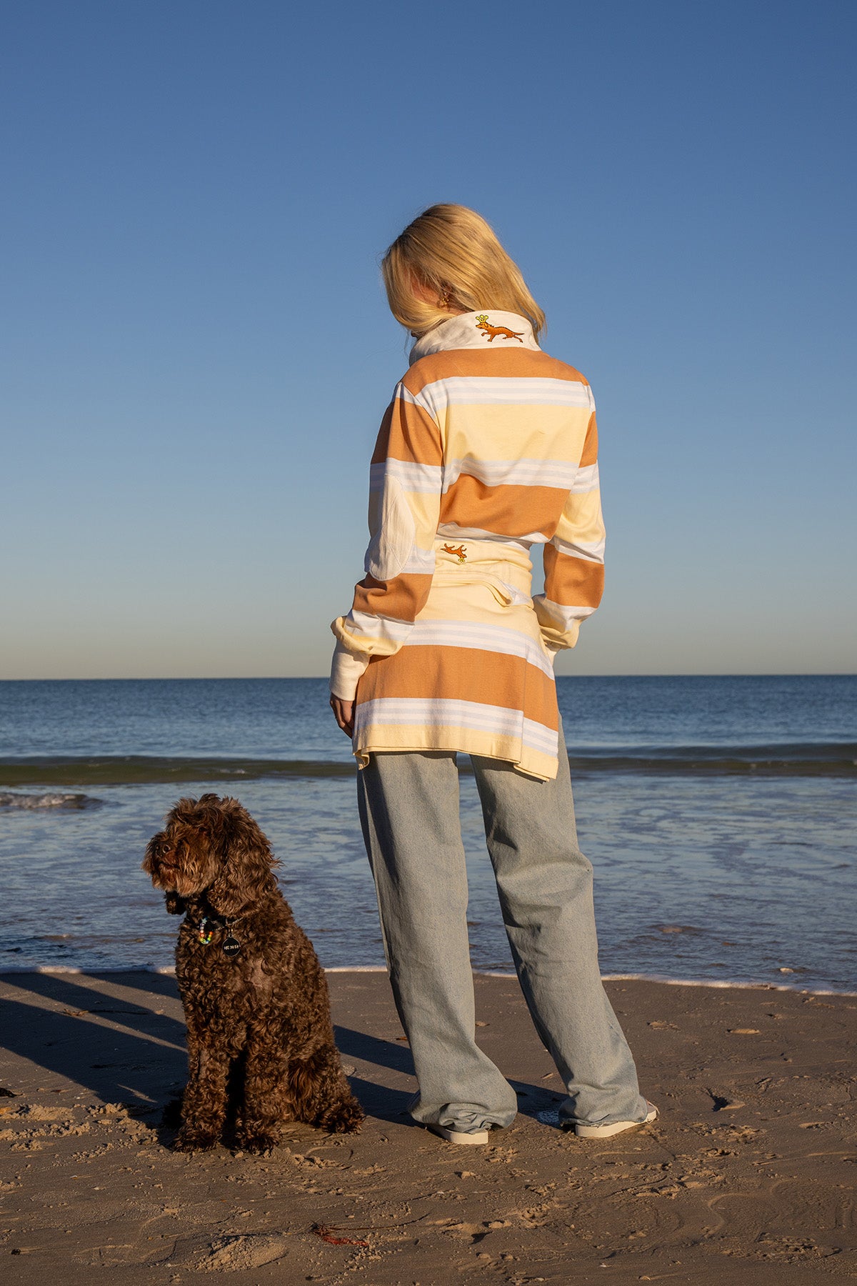 THE LITTLE BROWN DOG.